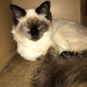 Meet your Posher, Omar